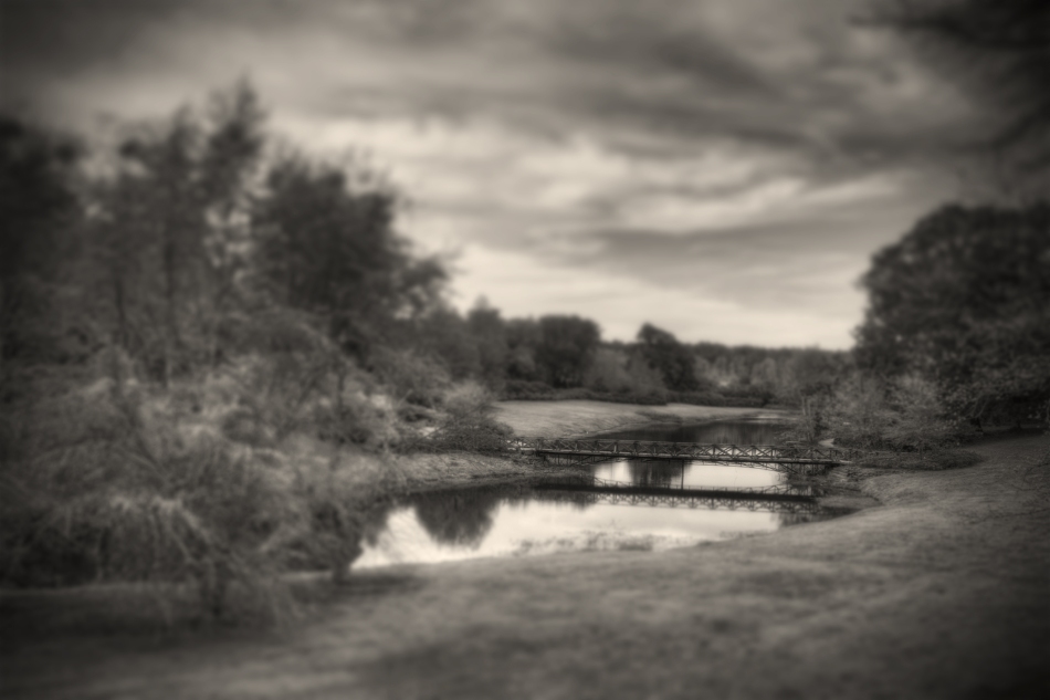An HDR Tilt-Shift picture of a bridge in Bellingrath Gardens, Theodore, AL