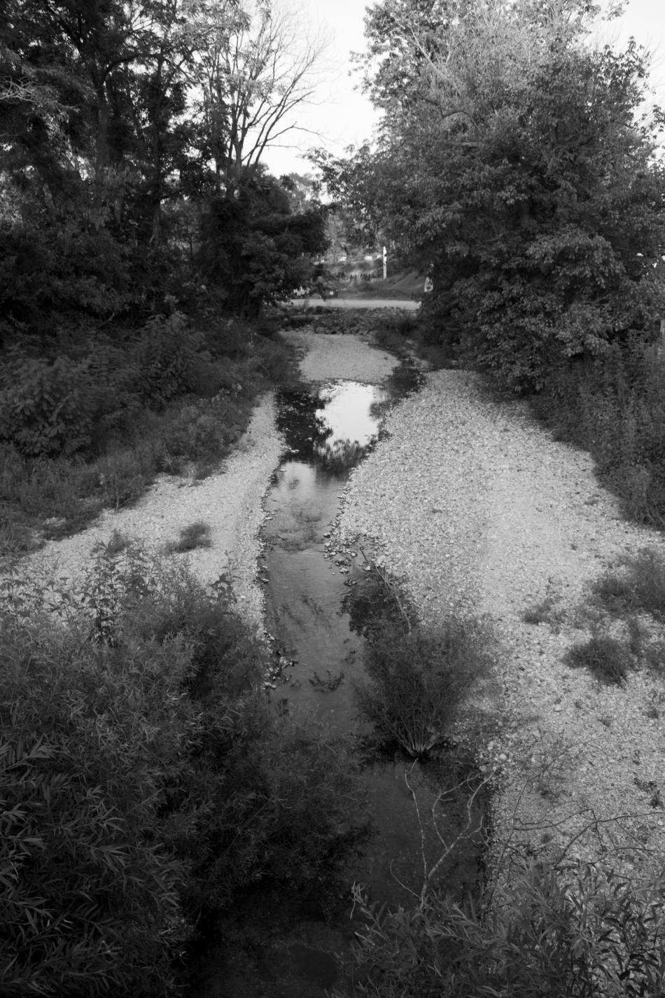 A creek in Ellington, MO.